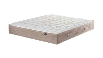 Alba Memo h25