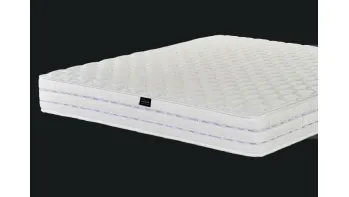 Ecolan 20